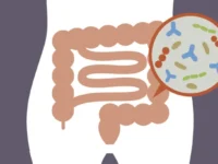 Probiotica verlichten obstipatie en stress