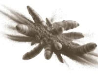 Curcumine-suppletie vermindert levervet bij diabetici