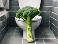 Nieuwe Britse dieetrichtlijnen bij chronische obstipatie