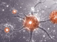 Moringa versterkt immuniteit van hiv-patiënt