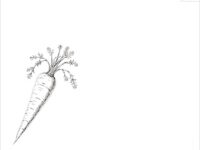 cRG-1, de antivirale pectine uit wortels