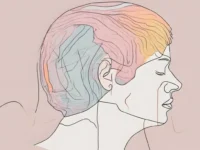 ALA en L-carnitine verminderen migraineklachten