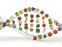 Nieuwe Amerikaanse voedingsrichtlijnen zetten echte voeding centraal