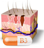 VitamineB3-huidkanker