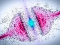 Relatie microbioom (auto-)immuniteit en parkinson