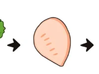 Eerst proteïne, dan witte rijst: kip versus soja