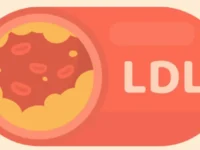 Bètaglucanen verlagen LDL-cholesterol