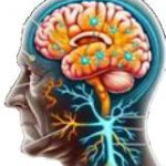 Neurodegeneratie en Alzheimer door melatoninetekort