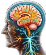 Neurodegeneratie-Alzheimer-Melatoninetekort