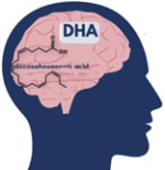 Omega-3 DHA vermindert kans op dementie