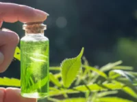 Cannabisolie haalbaar en veilig bij fibromyalgie