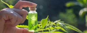 nb639_cannabisolie.jpg