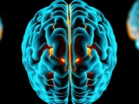 B-vitaminen ondersteunen cognitie bij hemodialyse