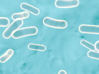 Probioticum verbetert slaap