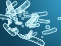 Rol voor biotische interventies tijdens menopauze