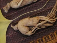 Ginkgo en woestijnginseng versterken geheugen en hersenstructuur