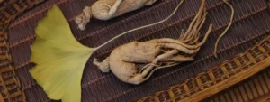 woestijnginseng-en-ginko.jpg