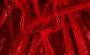 Hart-en-vaat1210-web-aspect-ratio-1500-910.png