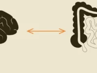 Postbioticum bij stress en spanning?